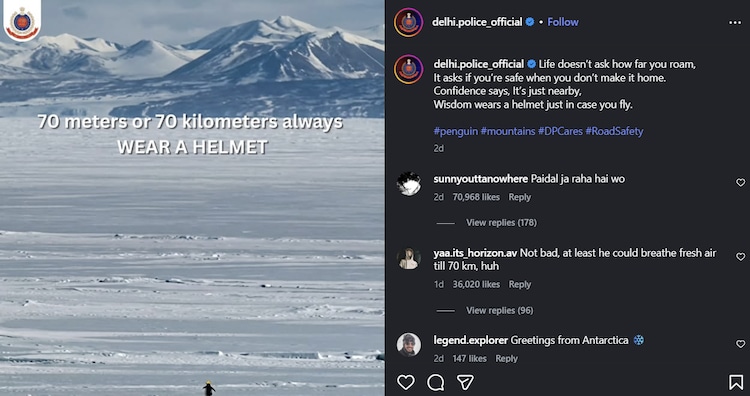 Have you seen the viral Nihilist Penguin video? Here's why the internet's obsessing over it